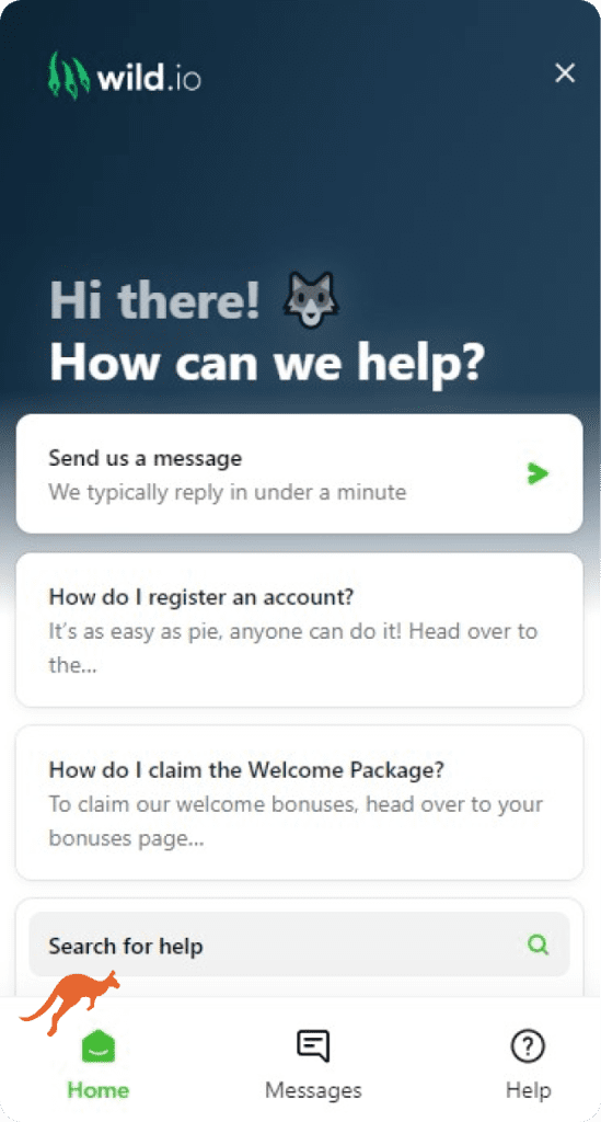 Wild.io Casino Live Chat Support