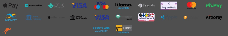 Spinpirate Casino Payment Methods