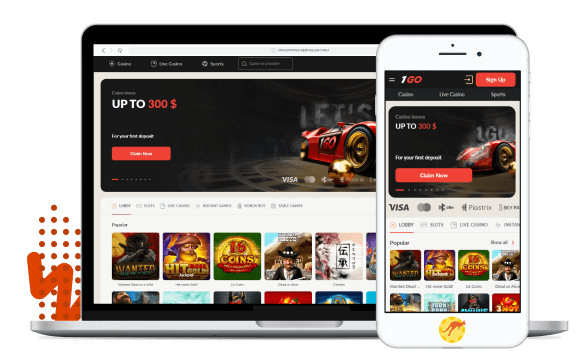 1Go Casino Mobile Devices