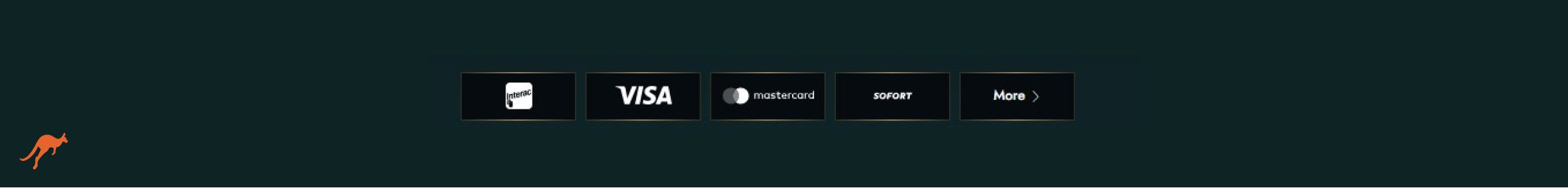 Dolly Casino Payment Methods