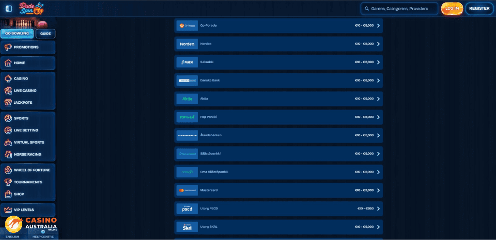 Dudespin Casino Payment Methods