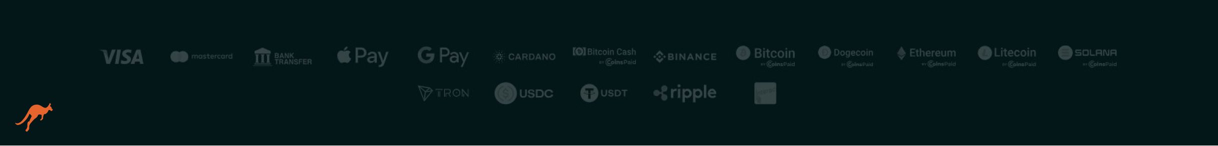 Spinaconda Casino Payment Methods