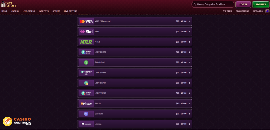 DicePalace Casino Payment Methods